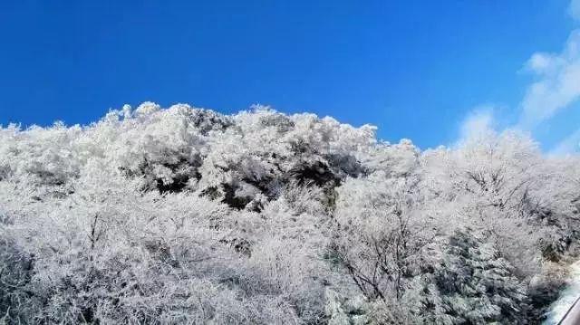 彩丽公主日常装扮