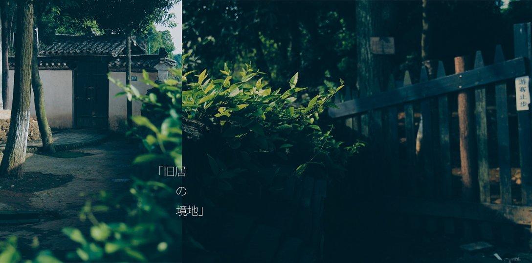 逗小猴开心系列171